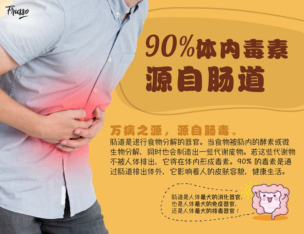 Wellous Frusso WellnessMall SG Wellous Products Singapore - interstinal tonix is the source of all diseases