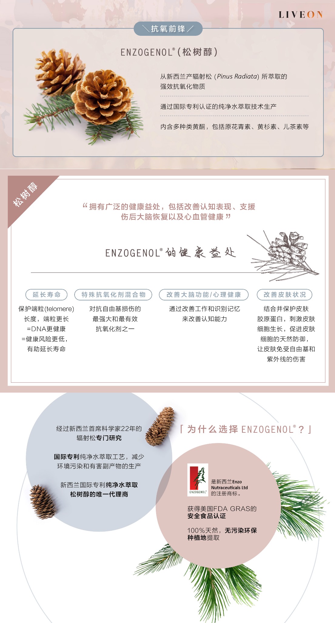 LIVEON逆龄抗糖饮-新加坡- SOD extramel pine bark extract - a powerful antioxidant extracted from bark of pinus radiata in new zealand  