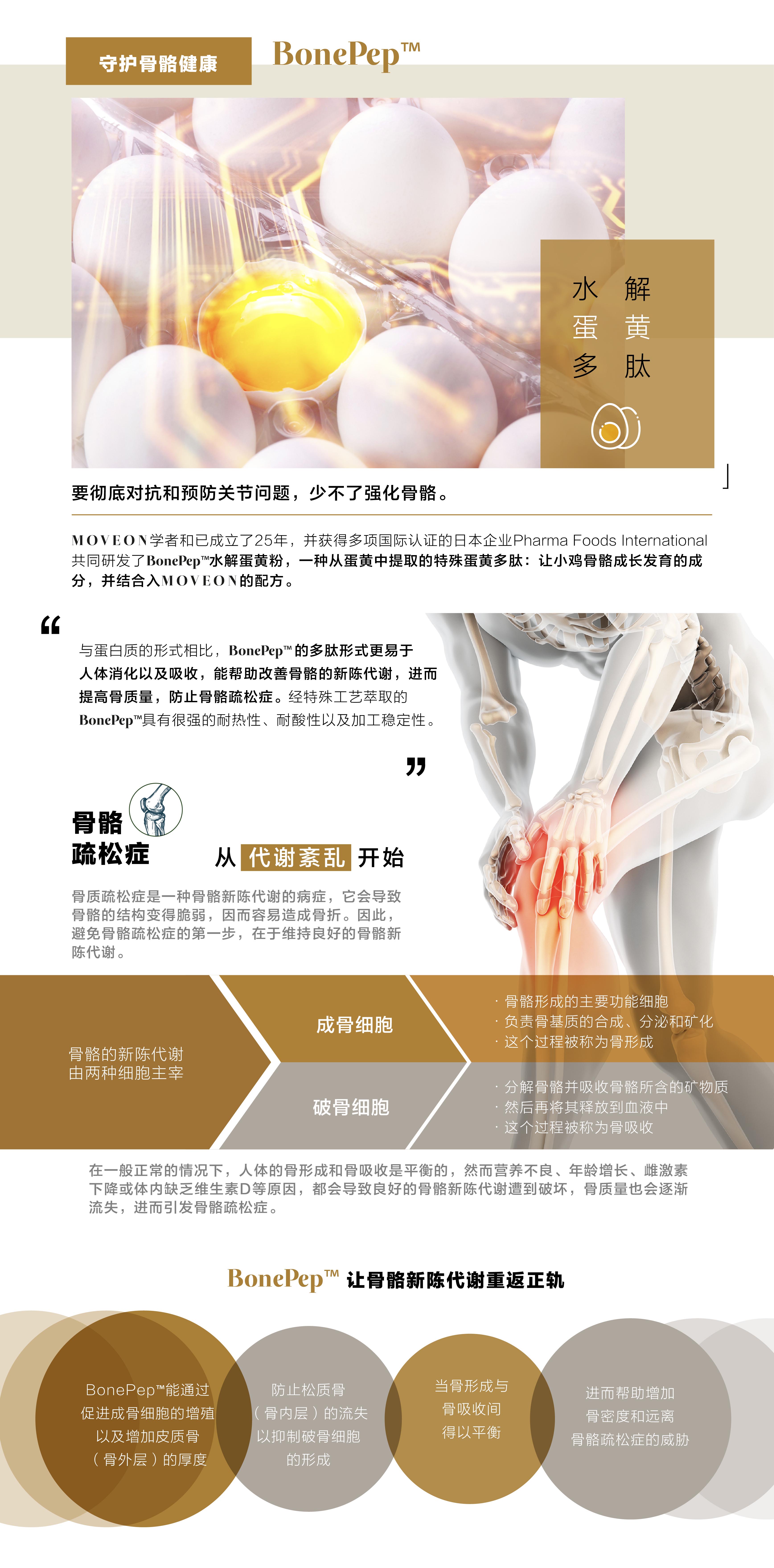 MOVEON灵活饮-新加坡